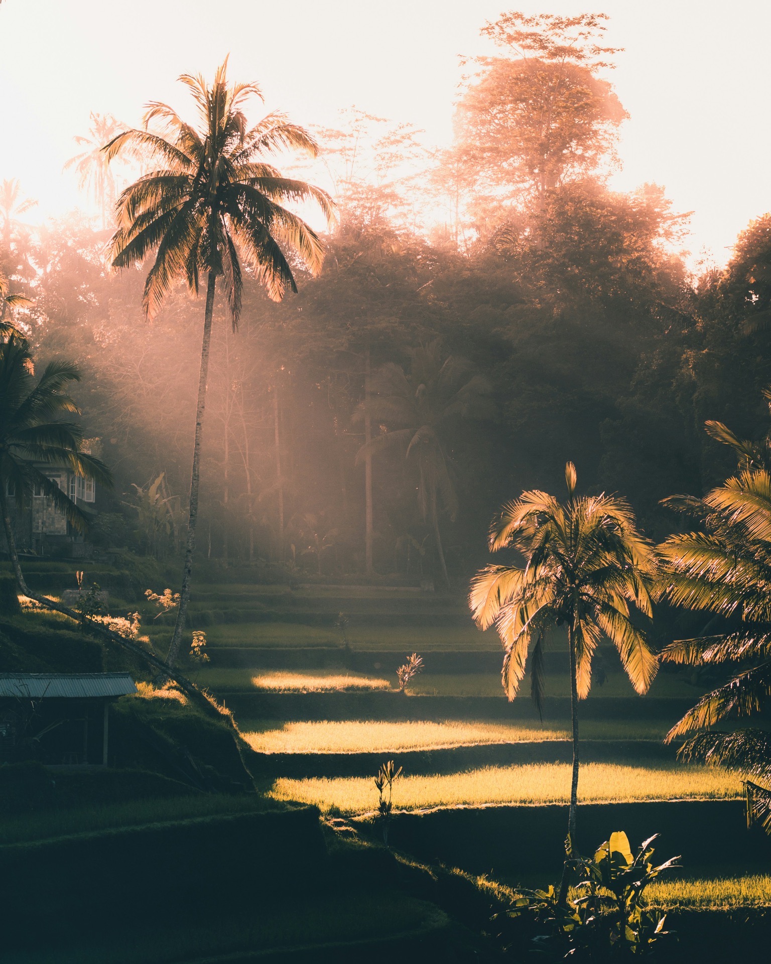 Bali